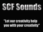 Picture for song 'Punisher (main riff loop)' by artist 'SCF Sounds'