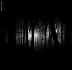 Picture for song 'Willow (Demo)' by artist 'Sebastian Kelly'