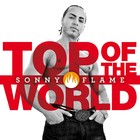 Picture for song 'Top Of The World (Radio Edit)' by artist 'Sonny Flame'