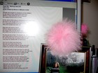 Picture for song 'Working Class Doll' by artist 'Steele Hart'