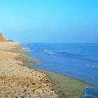 Picture for song 'Enchanted Shore' by artist 'TAPPIN' TOMMY SHOW'