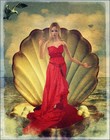 Picture for song 'Flutter' by artist 'The Pugtones'