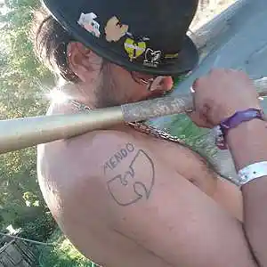 Picture for song 'Baseball Batz wit Ws on em' by artist 'The WoodBeez'