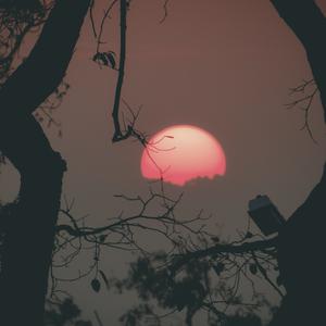 Picture for song '( RAID) - Dark Type Beat Instrumental' by artist 'whoDeanyBeatz'