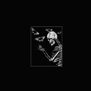 Picture for song 'Heartache' by artist 'Zordag'