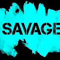 Picture for song '951Studio - Savage BEAT' by artist '951Studio'