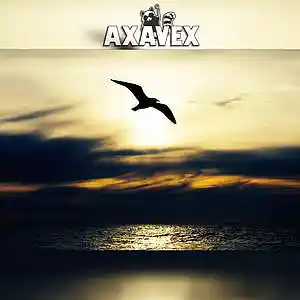 Picture for song 'Sunset' by artist 'AXAVEX'