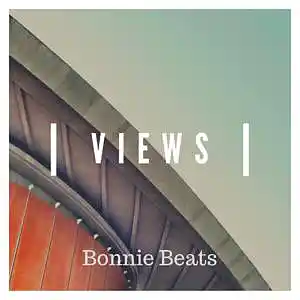 Picture for song 'Views (Drake)' by artist 'Bonnie Beats'