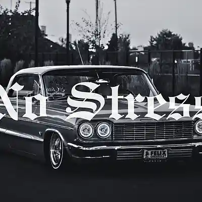 Picture for song 'No stress' by artist 'EWSH'