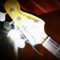 Picture for song 'Bass 2 Mouth (84 BPM)' by artist 'Freigheist'