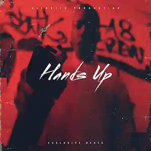 Picture for song 'Hands Up' by artist 'Kilobits Production'