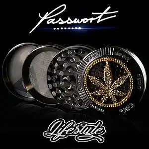 Picture for song 'Lifestyle' by artist 'PASSWORT 13-8'