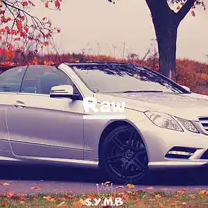 Picture for song '[Free] Raw (Buy 1 Get 2 Free)' by artist 'S.Y.M.B'