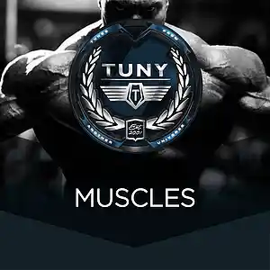 Picture for song 'muscles' by artist 'Tuny Beats'