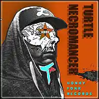 Picture for song 'Keyed Lightning' by artist 'Turtle Necromancer'