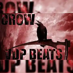 Picture for song 'CROW - VDP BEATS' by artist 'VDP BEATS'