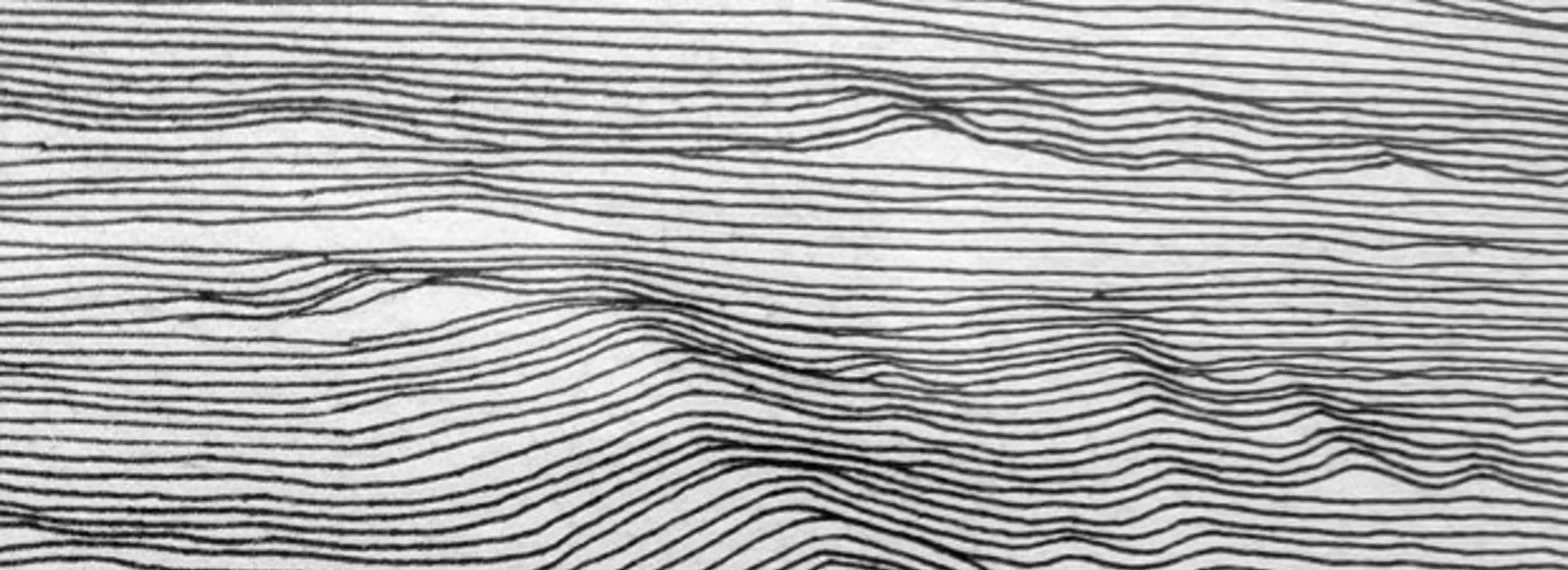 cover pic