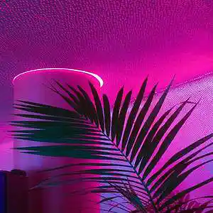 Picture for song 'Ivy (Buy 1 Get 4 FREE)' by artist 'BenzMuzik'