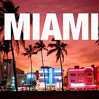 Picture for song '808s in Miami - FameFaiellaBeats' by artist 'FameFaiellaBeats'