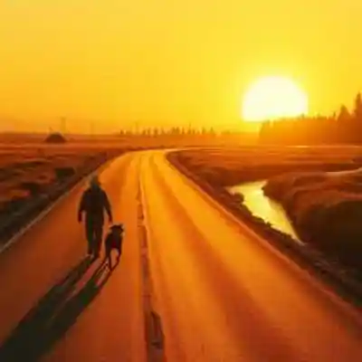 Picture for song 'GYPSY FEET' by artist 'john vaughan'