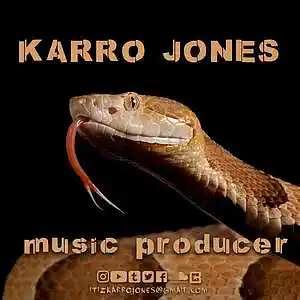 Picture for song 'COPPERHEAD' by artist 'KARRO JONES'
