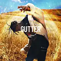 Picture for song 'Gutter *Hard Drums*' by artist 'Komo Beatz'