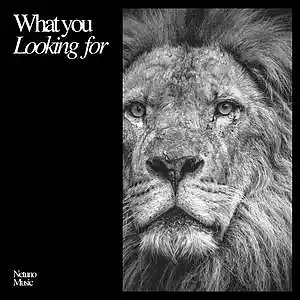 Picture for song 'What You Looking For' by artist 'Netuno Soundtracks'