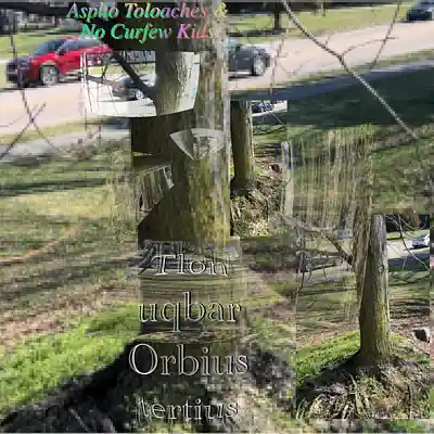 Picture for song 'Tlon uqbar Orbius tertius' by artist 'No Curfew Kids'