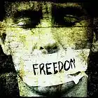 Picture for song '*BANGER*Freedom' by artist 'THE L3GION OF DOOM'