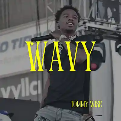 Picture for song 'WAVY' by artist 'Tommy Wise'
