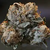 Picture for song 'Smoke' by artist 'TRAPSTA BEATZ'