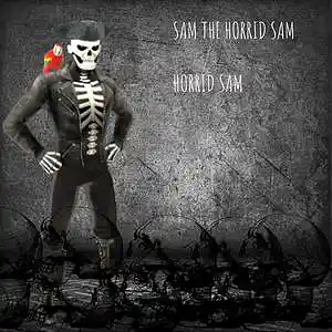 Picture for song 'Revenge Instrumental' by artist 'Horrid Sam'