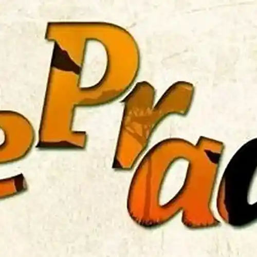 cover pic