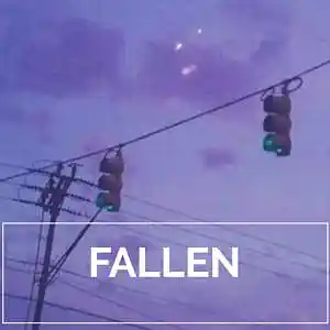 Picture for song 'FALLEN / Lil Peep Type Beat 2021' by artist 'Le Mak Music'