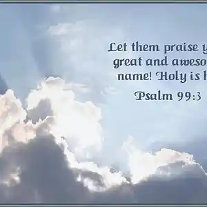 Picture for song 'Holy is He (Instrumental)' by artist 'My Shepherd King'