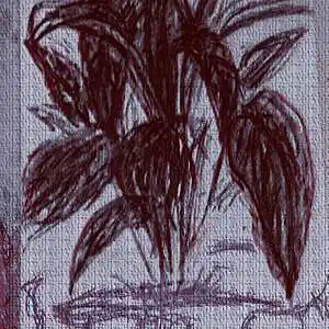 Picture for song 'un trago - Salida - Stereo Out' by artist 'nirmanakaya'