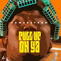 Picture for song 'Pull Up on Ya' by artist 'Pdweestraw'