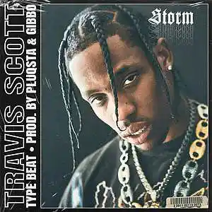 Picture for song 'STORM (BUY 1 GET 1 FREE)' by artist 'PLUQSTA'