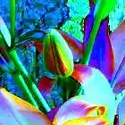 Picture for song 'Land of What is Yet' by artist 'Random Krel'