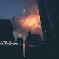 Picture for song 'Options' by artist 'Rollin Music Beatz'
