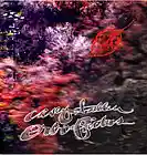 Picture for song 'Return' by artist 'Casey Fallen'