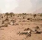 Picture for song 'There's a Drought Going On' by artist 'FDP Jams'