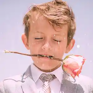 Picture for song 'Fuxe' by artist 'Hey Lowe'