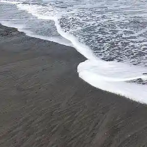 Picture for song 'Roter(w/Ferno)' by artist 'Mirrorfamily'