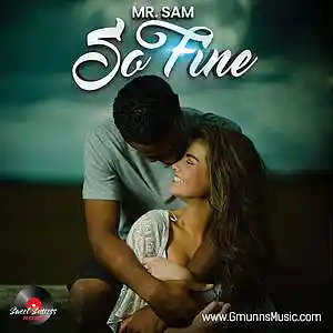 Picture for song 'MR. SAM - SO FINE- 320 bps' by artist 'MR. SAM'