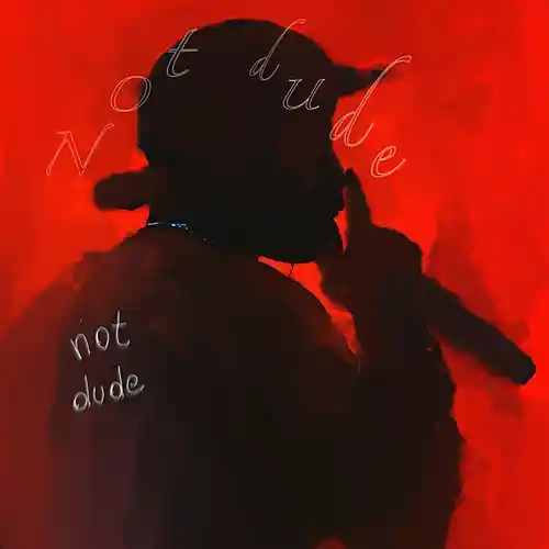 Picture for song 'POISON' by artist 'not dude'