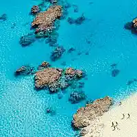 Picture for song 'Rarotonga or Holiday in Polynesia' by artist 'Peter Kosta's Galaxy Rock Band'