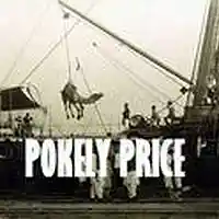 Picture for song 'all the time' by artist 'POKELY PRICE'