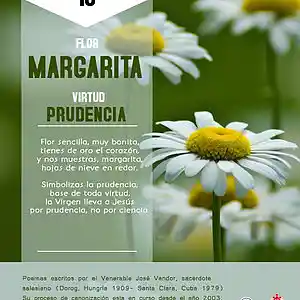 Picture for song 'Dia 10-Flor Margarita' by artist 'Producciones Vandor'