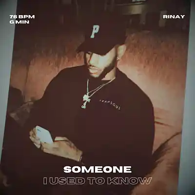 Picture for song 'Bryson Tiller R&B Beat - Someone I Used To Know' by artist 'Rinay'
